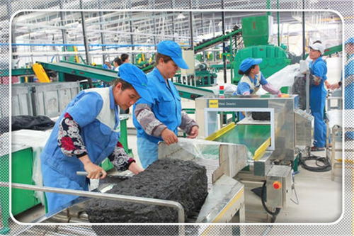 2021年適合農(nóng)村開辦的小型加工廠項(xiàng)目 投資少、前景廣闊